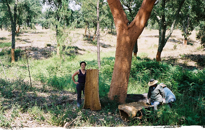 Nos engagements - Delphine Ducasse